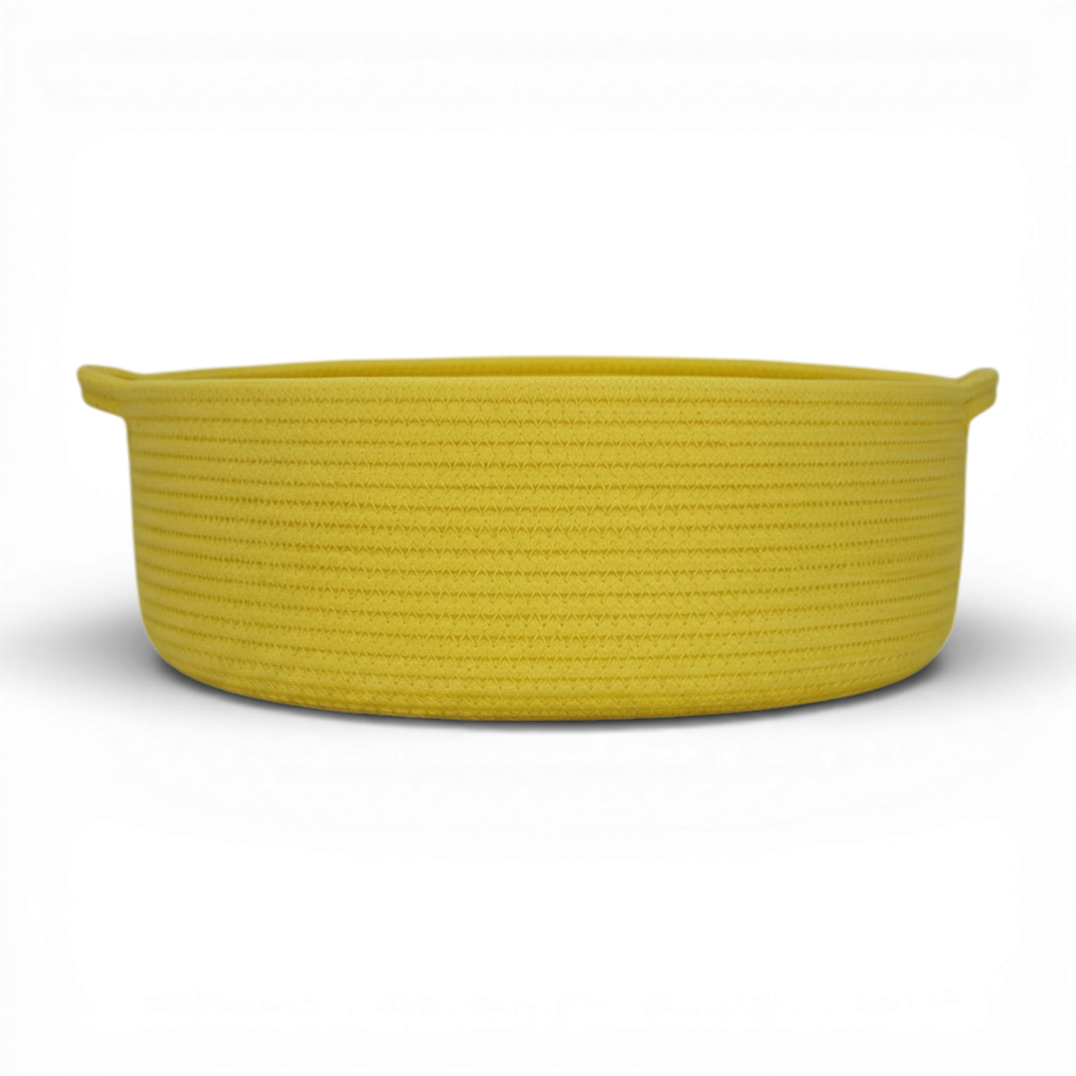 Zinnia Tray